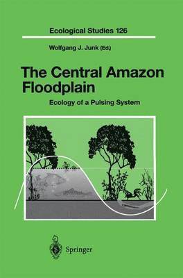 bokomslag The Central Amazon Floodplain