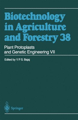 bokomslag Plant Protoplasts and Genetic Engineering VII