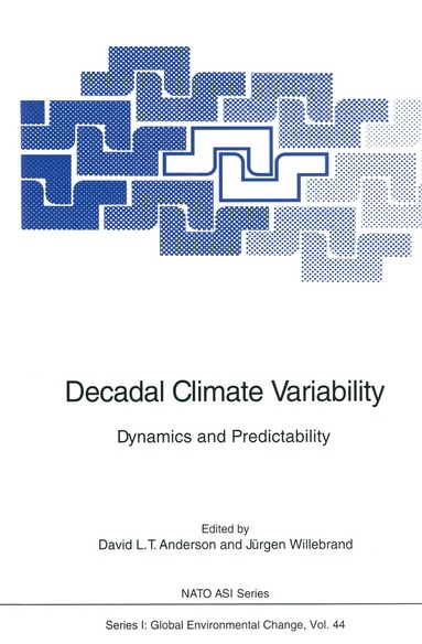 David L.T. Anderson, Jürgen Willebrand - Decadal Climate Variability, Häftad