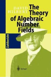bokomslag The Theory of Algebraic Number Fields