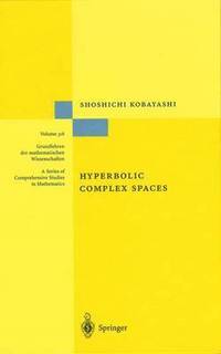 bokomslag Hyperbolic Complex Spaces