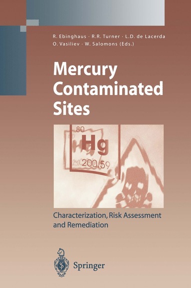 bokomslag Mercury Contaminated Sites