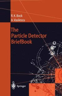 bokomslag The Particle Detector BriefBook