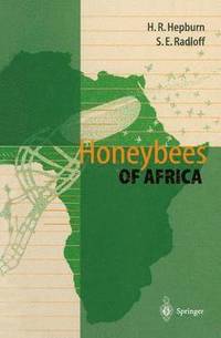 bokomslag Honeybees of Africa