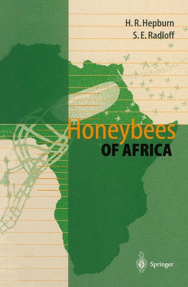 bokomslag Honeybees of Africa