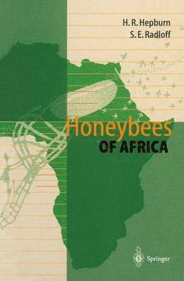 Honeybees of Africa 1