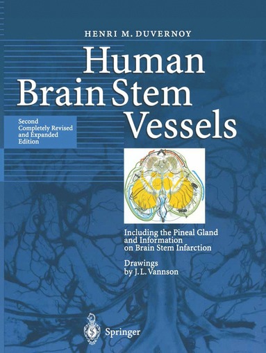 bokomslag Human Brain Stem Vessels