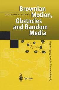 bokomslag Brownian Motion, Obstacles and Random Media