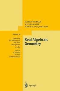 bokomslag Real Algebraic Geometry