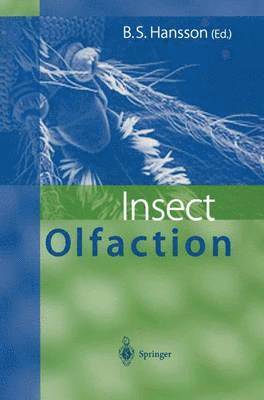 bokomslag Insect Olfaction