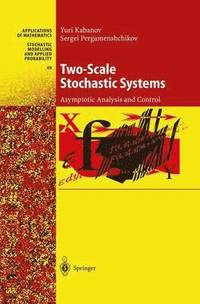 bokomslag Two-Scale Stochastic Systems