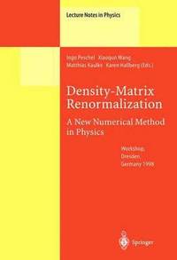 bokomslag Density-Matrix Renormalization - A New Numerical Method in Physics