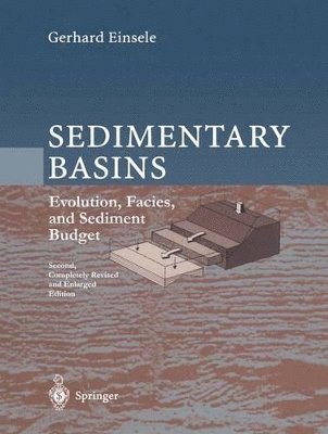 bokomslag Sedimentary Basins