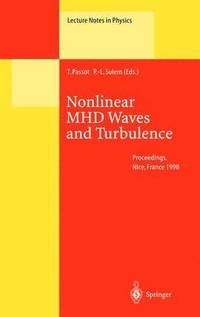 bokomslag Nonlinear MHD Waves and Turbulence