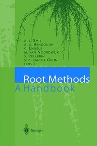 bokomslag Root Methods