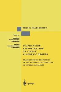 bokomslag Diophantine Approximation on Linear Algebraic Groups
