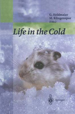 Life in the Cold 1
