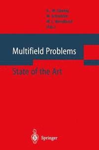 bokomslag Multifield Problems