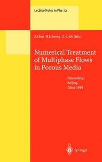 bokomslag Numerical Treatment of Multiphase Flows in Porous Media