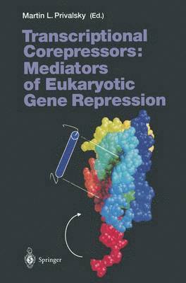 bokomslag Transcriptional Corepressors: Mediators of Eukaryotic Gene Repression