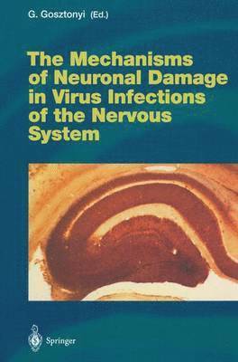 bokomslag Mechanisms of Neuronal Damage in Virus Infections of the Nervous System