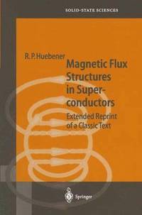 bokomslag Magnetic Flux Structures in Superconductors