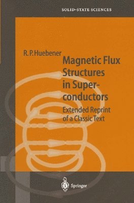 bokomslag Magnetic Flux Structures in Superconductors