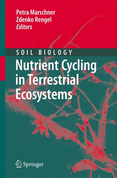 Petra Marschner, Zdenko Rengel - Nutrient Cycling in Terrestrial Ecosystems, Häftad