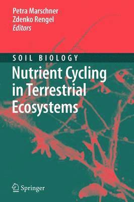 bokomslag Nutrient Cycling in Terrestrial Ecosystems