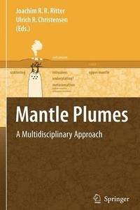 bokomslag Mantle Plumes