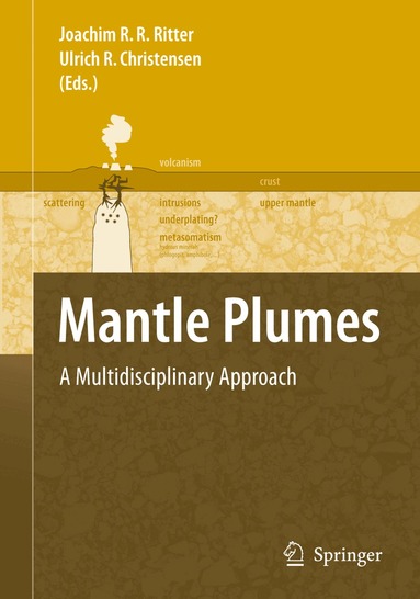Joachim R. R. Ritter, U.R. Christensen - Mantle Plumes, Häftad