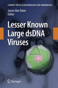 bokomslag Lesser Known Large dsDNA Viruses