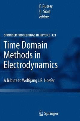 bokomslag Time Domain Methods in Electrodynamics