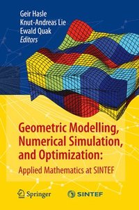 bokomslag Geometric Modelling, Numerical Simulation, and Optimization: