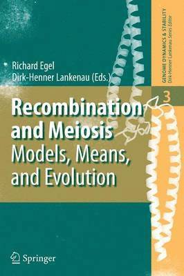 bokomslag Recombination and Meiosis