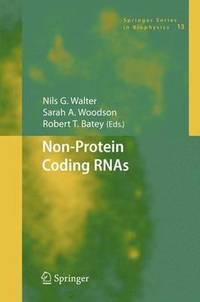 bokomslag Non-Protein Coding RNAs