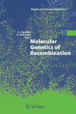 bokomslag Molecular Genetics of Recombination