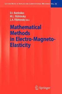 bokomslag Mathematical Methods in Electro-Magneto-Elasticity