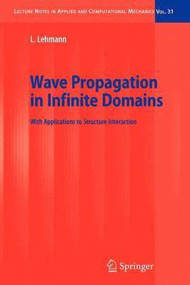 bokomslag Wave Propagation in Infinite Domains