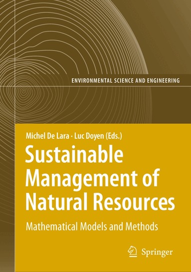 Jorge Marx Gómez, Michael Sonnenschein, Martin Müller, Heinz Welsch, Claus Rautenstrauch - Information Technologies in Environmental Engineering, Häftad