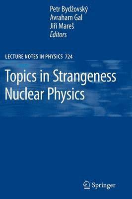 bokomslag Topics in Strangeness Nuclear Physics