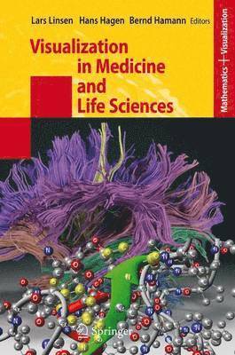 bokomslag Visualization in Medicine and Life Sciences