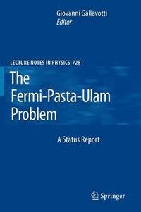 bokomslag The Fermi-Pasta-Ulam Problem