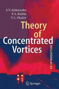 bokomslag Theory of Concentrated Vortices
