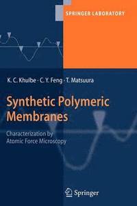 bokomslag Synthetic Polymeric Membranes