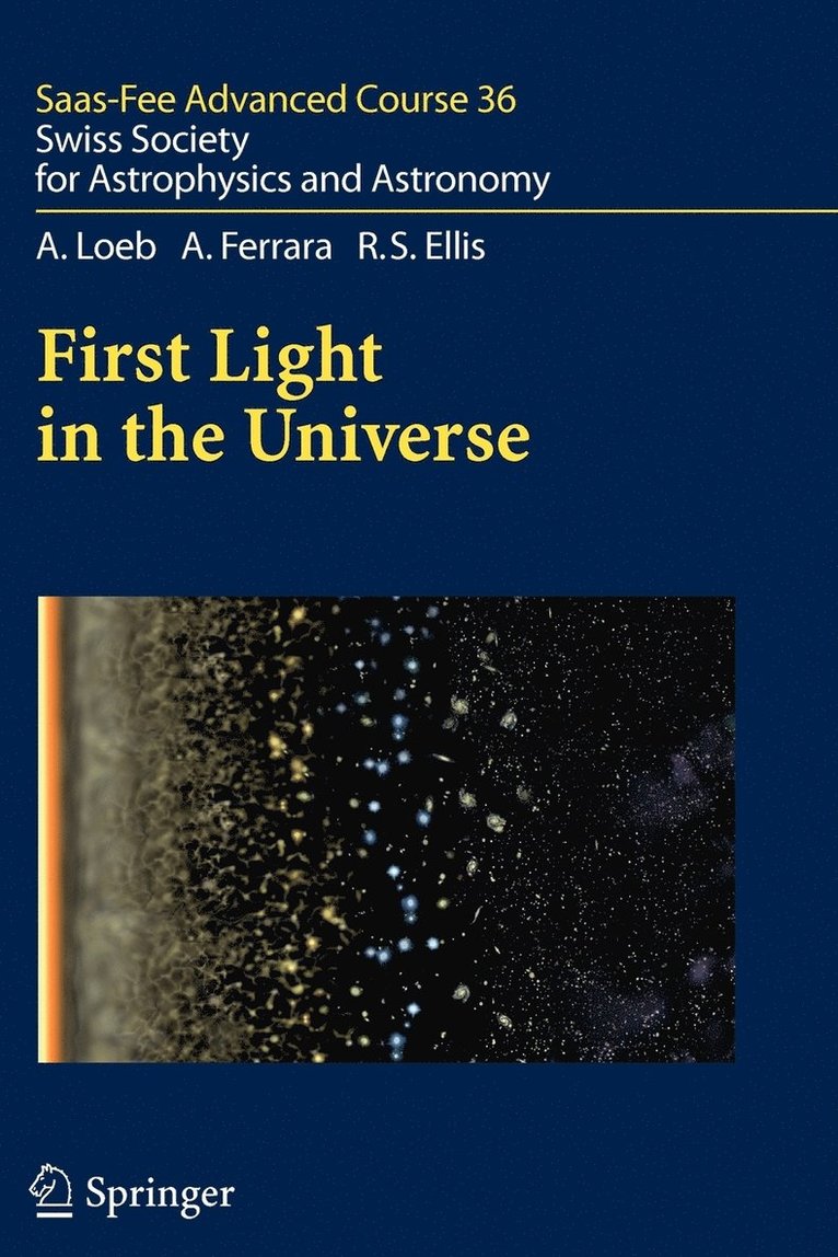 Rafat Siddique - Waste Materials and By-Products in Concrete, Häftad