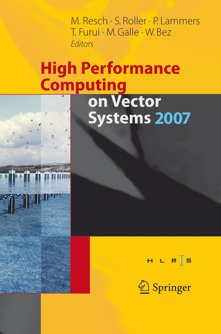 Sabine Roller, Peter Lammers, Toshiyuki Furui, Martin Galle, Wolfgang Bez - High Performance Computing on Vector Systems 2007, Häftad