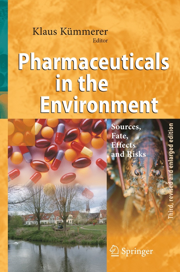 Klaus Kümmerer - Pharmaceuticals in the Environment, Häftad