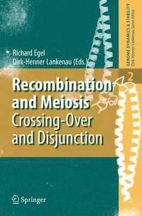 bokomslag Recombination and Meiosis