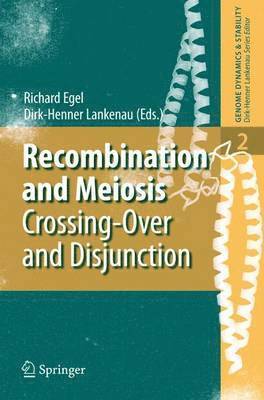 bokomslag Recombination and Meiosis